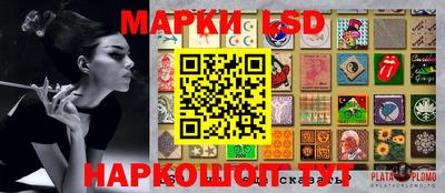 прущие крисы Бийск