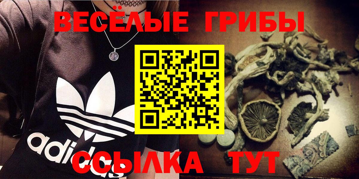 Галлюциногенные грибы прущие грибы  купить наркотик  Киров  Вход с VPN  Галлюциногенные грибы Magic Shrooms 